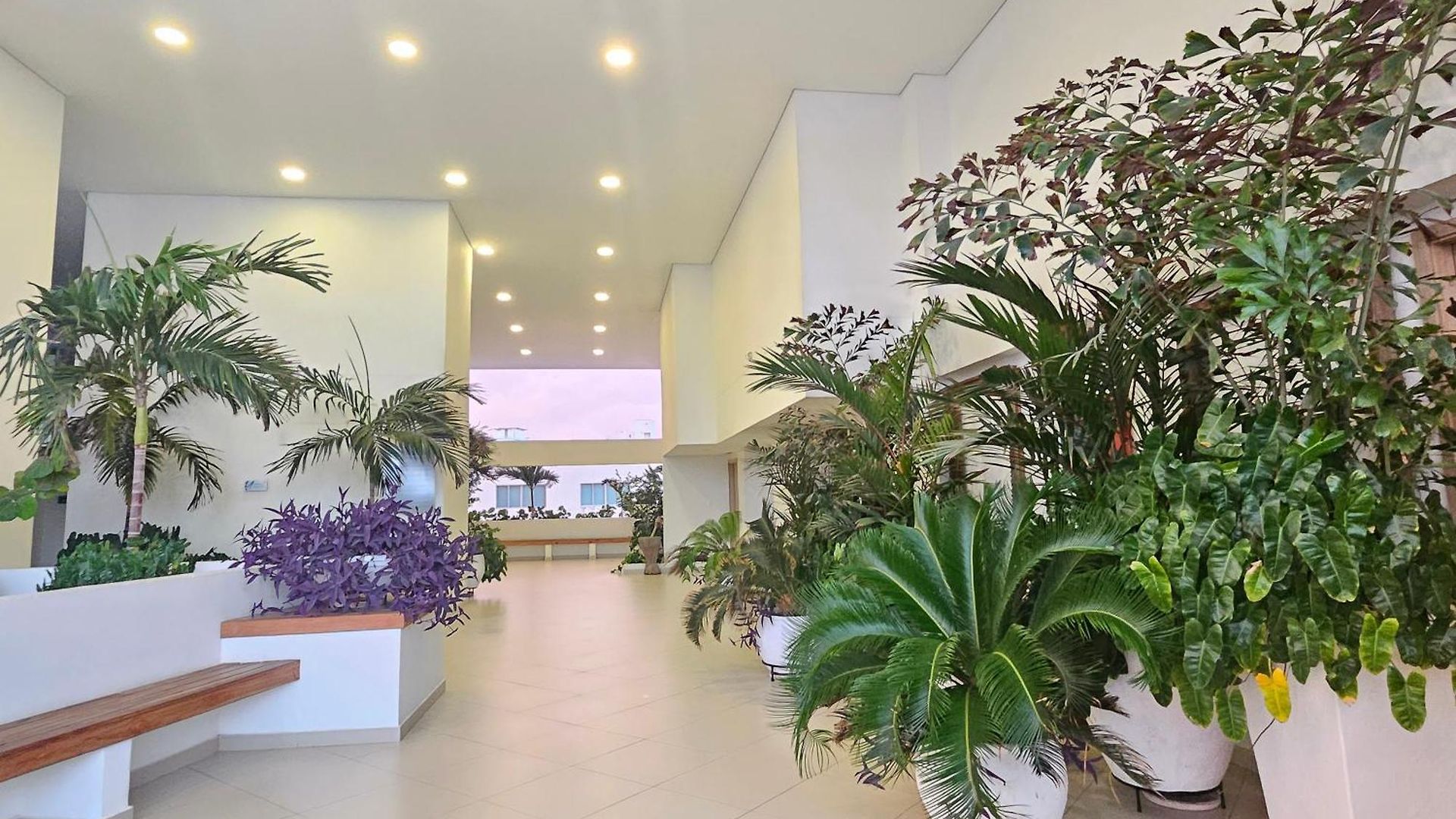 Duplex Con Vista Atardecer Mágico En El Mar Caribe Apartamento