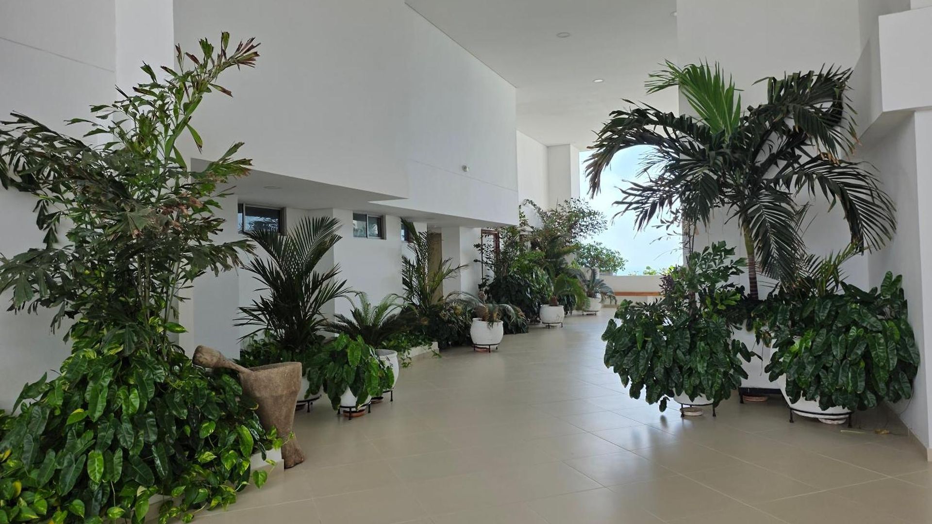 Duplex Con Vista Atardecer Mágico En El Mar Caribe Apartamento