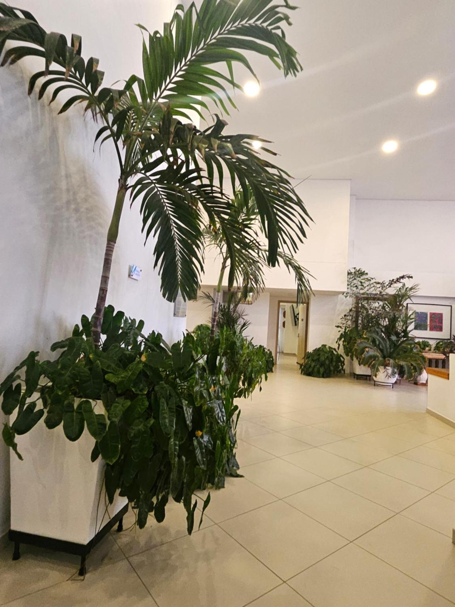 Apartamento Duplex De Lujo Nuevo Con Vista Increible Al Centro Y La Playa